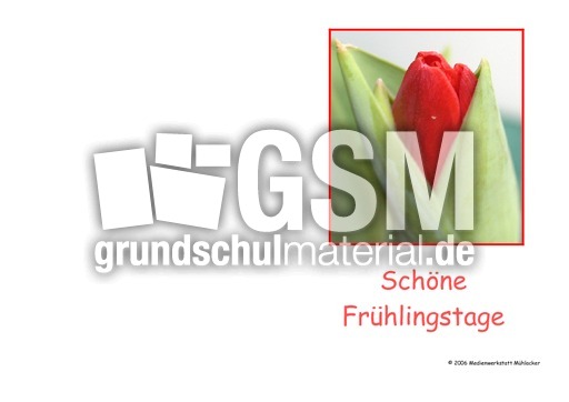 Frühlingskarte-3.pdf